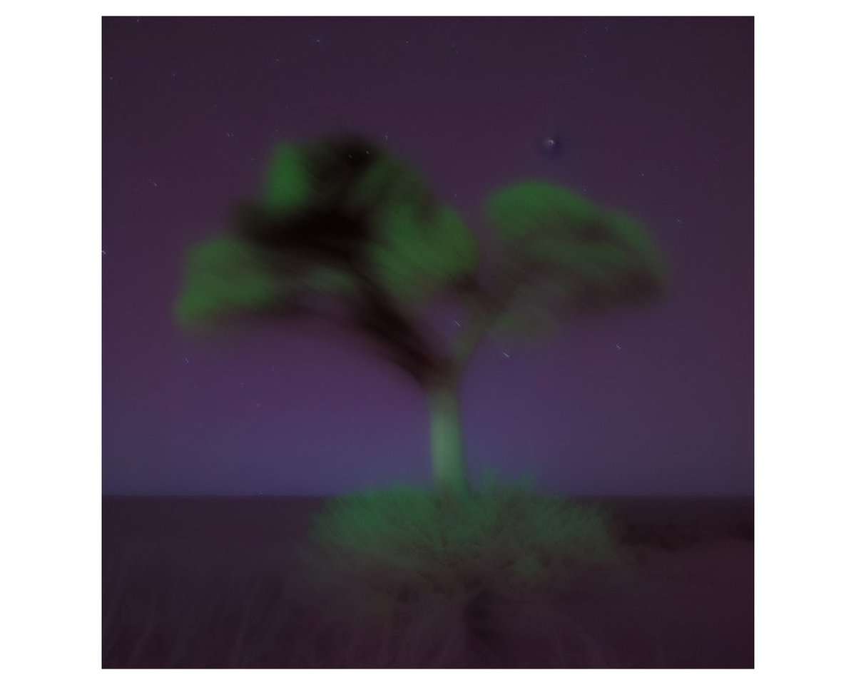 Hello, friends and collectors
Attention, to my legendary NFT drop 
Size: 4000X4000

This is the highlight of my Tree on the Island collection
You can also check out the other NFTs in this collection

foundation.app/@peacedukatoin…
👆👆👆
#NFTdrops #NFTCommunity #NFTCollection #NFT