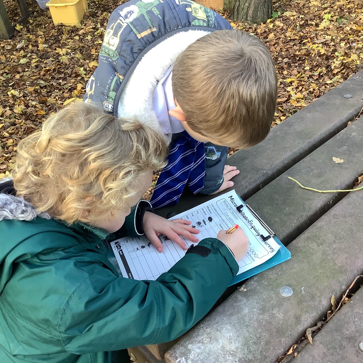 Wfp_Willow's tweet photo. A great Science lesson with Year 1 and 2 comparing the mini beasts we can find in different habitats (followed by a fun session of hide and seek)! We think we even identified the strange looking fungi we found as ‘Jelly Ears’ @woodlandtrust - are we right? https://t.co/McjWOLr1rv