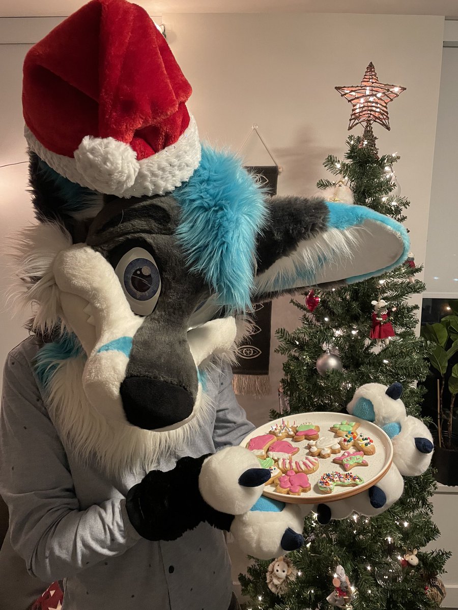 Would you like a Christmas cookie from Santa Dex? 🦊🎄✨ Happy #MoreFurLessMonday!~ 

📸 <a href="/NotQuiteMellow/">Mellow ✨</a> 
🪡 @morefurless