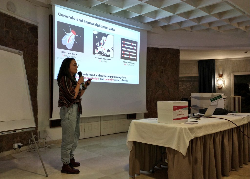 Ewan Harney (@ewanharney) on Twitter photo Great flash talk by <a href="/geneticament/">Marta Coronado-Zamora</a> on her cool TE-chimeric transcripts! Presenting some of the results coming out of <a href="/GonzalezLab_BCN/">Dr. Josefa González</a> to the institute, <a href="/IBE_Barcelona/">Institute of Evolutionary Biology (IBE)</a> retreat! Great flash talk by <a href="/geneticament/">Marta Coronado-Zamora</a> on her cool TE-chimeric transcripts! Presenting some of the results coming out of <a href="/GonzalezLab_BCN/">Dr. Josefa González</a> to the institute, <a href="/IBE_Barcelona/">Institute of Evolutionary Biology (IBE)</a> retreat!
