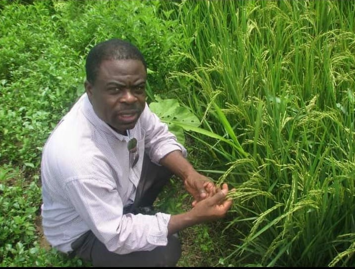 Ezilidanto's tweet photo. Lavarice Gaudin teaching the critical importance of local agriculture and Hayti food sovereignty to young students.. https://t.co/6WXlKOrLoO