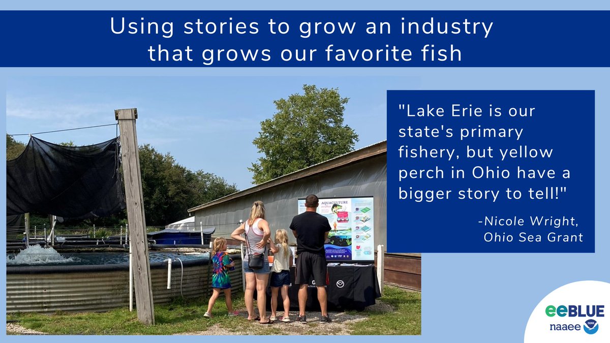 NOAAeducation's tweet photo. Did you know that yellow perch are the primary harvest for Ohio’s Lake Erie fishery? Learn how @TheNAAEE #eeBLUE grantees from @ohioseagrant and their partners are increasing visibility and understanding of this frequently overlooked agricultural sector. https://t.co/kiU5EaUsIR https://t.co/BtGV3umDMw