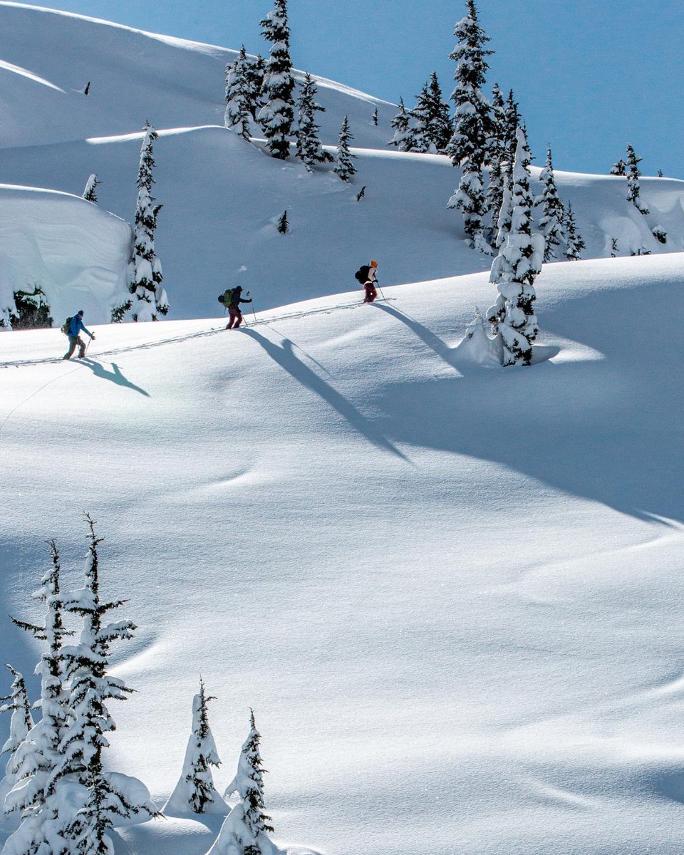 Arc'teryx tweet media