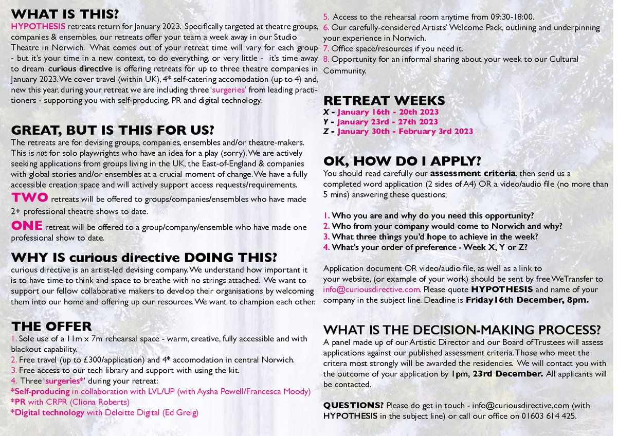 curious directive tweet media