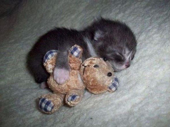 houseinnebrska's tweet image. not jr do not interact with this post.