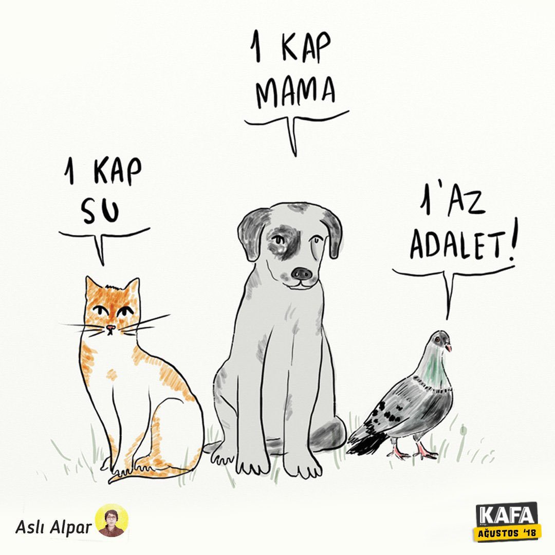 #SOKAKHAYVANLARISAHİPSİZDEĞİL
#Konyadakatliamvar #birliktemümkün