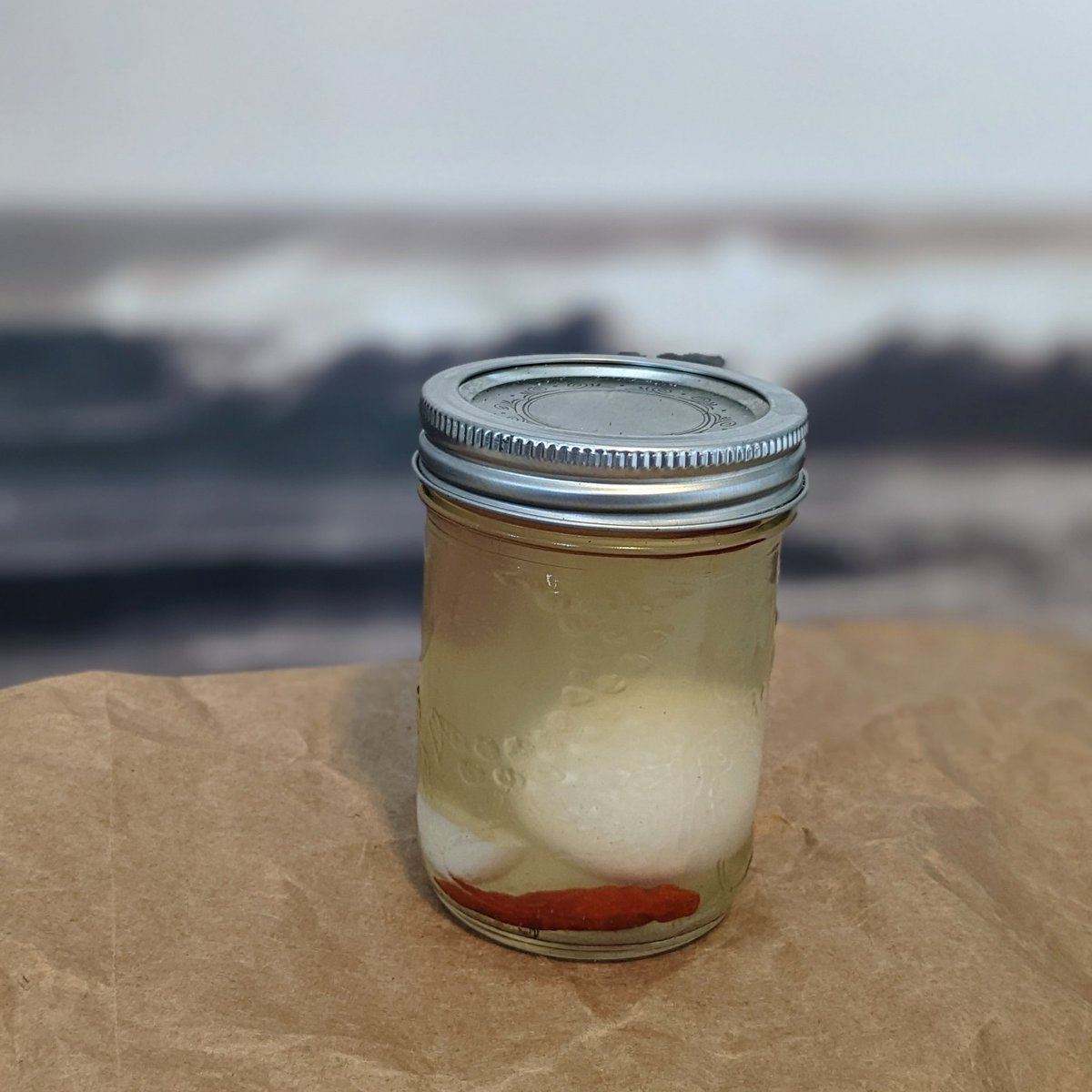 Warm beach days are long gone and the cold weather is setting in.

Take a moment to help keep our neighbors warm this winter by donating to <a href="/OTChfx/">Out of the Cold Community Association</a>. 

Every $5 donated here👇 is 1 egg entry
                         Bit.ly/RaccoonEgg