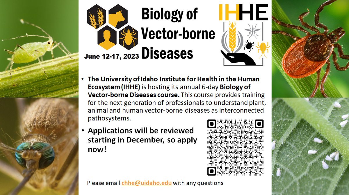 Biology of Vector-borne Diseases six-day course, June 12-17, 2023, on the UI campus in Moscow, Idaho. 
@ui_IHHE We will start to review applications in a few days. #BVBDcommunity @_SOVE_ #AgTech #EntSoc22 #PlantHealth2023 #TropMed22 #umisc2022 
Apply here:
uidaho.edu/research/entit…