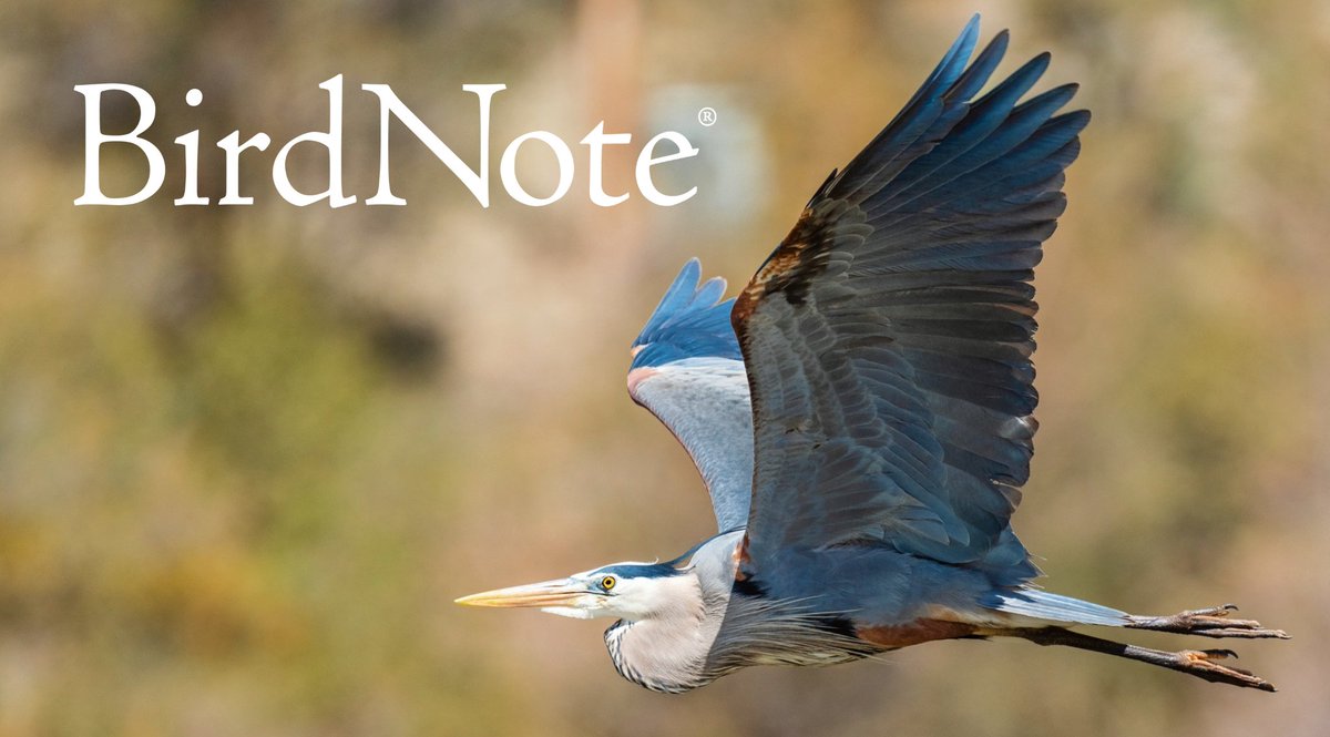 BirdNoteRadio's tweet image. BirdNote is announcing an indefinite pause on our activity on Twitter. See this thread or visit this link for more info: birdnote.org/explore/field-…