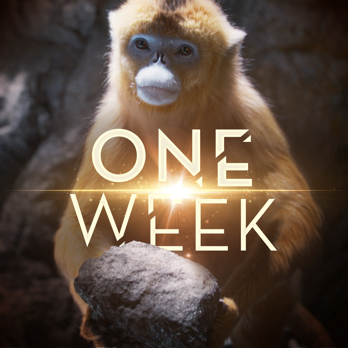 daemonsanddust's tweet image. It's time to travel to new worlds. The final season of #HisDarkMaterials premieres in one week on @HBOMax.