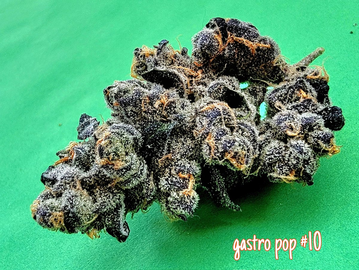 Happy 420 in 6 minutes! #Mmemberville #CannabisCommunity #StonerFam
