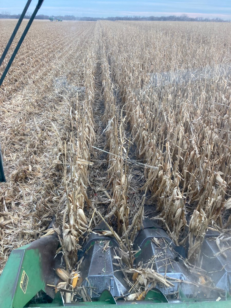 KSUNCKEF's tweet photo. 🎶
The little 4 row head goes round and round, round and round. 
🎶
The little 4 row head goes round and round, round and round. 
🎶 https://t.co/LPYiaiGpHp
