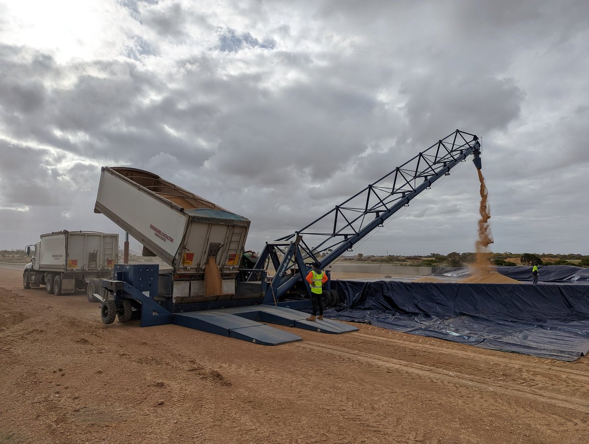 Damien Crossling tweet media