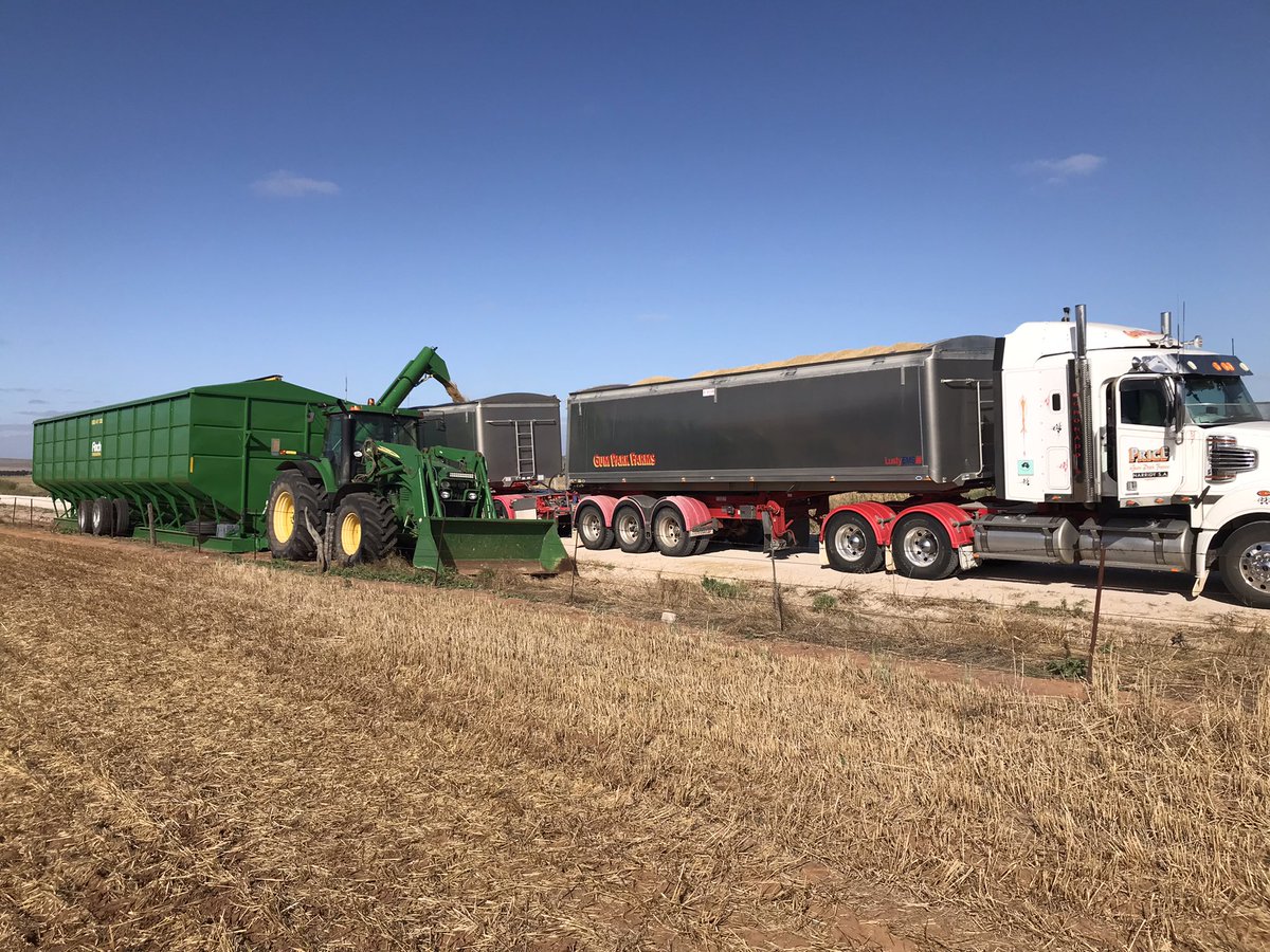 Linden Price tweet media