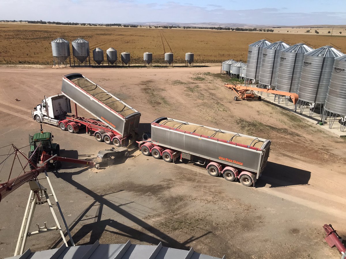 Linden Price tweet media