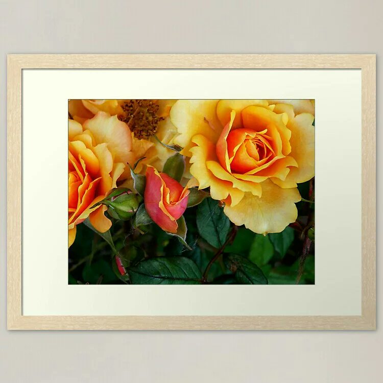 BranaghTh's tweet photo. Beautiful Interior Decoration For Hose!
For Sale 👇 Framed Art Print 25% Off👇
https://t.co/M2yDs7hskV
@redbubble #redbubble #redbubbleshop #redbubbleartist #holidays #giftideas #homedecorideas #homedecoration #interiordecorating #artprint #FramedPrints #giftideas #giftidea #buy https://t.co/B9ZkqLnIg0