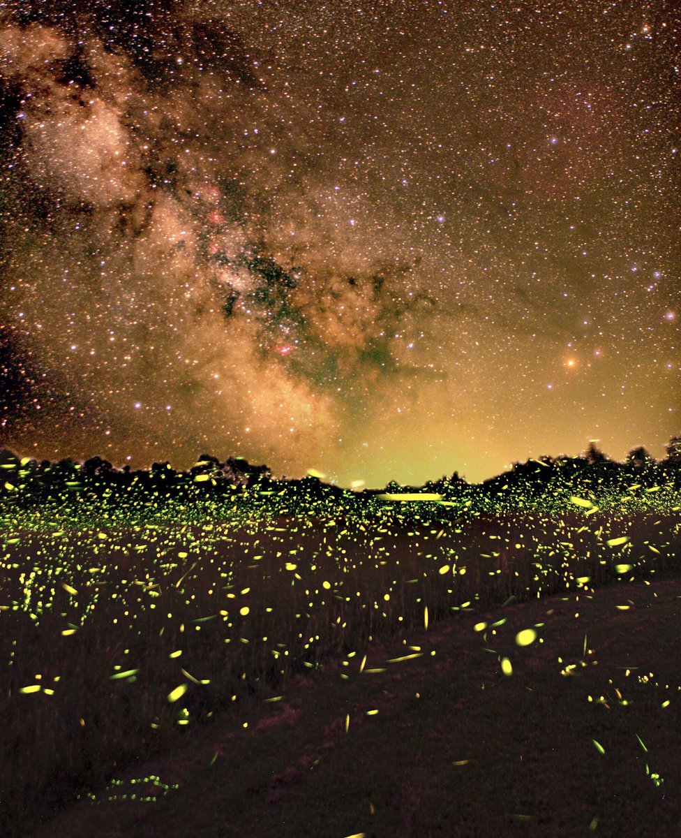 uhd2020's tweet photo. The Milky Way core over a field full of fireflies in the Catskill Mountains https://t.co/i6qtvQBj4z