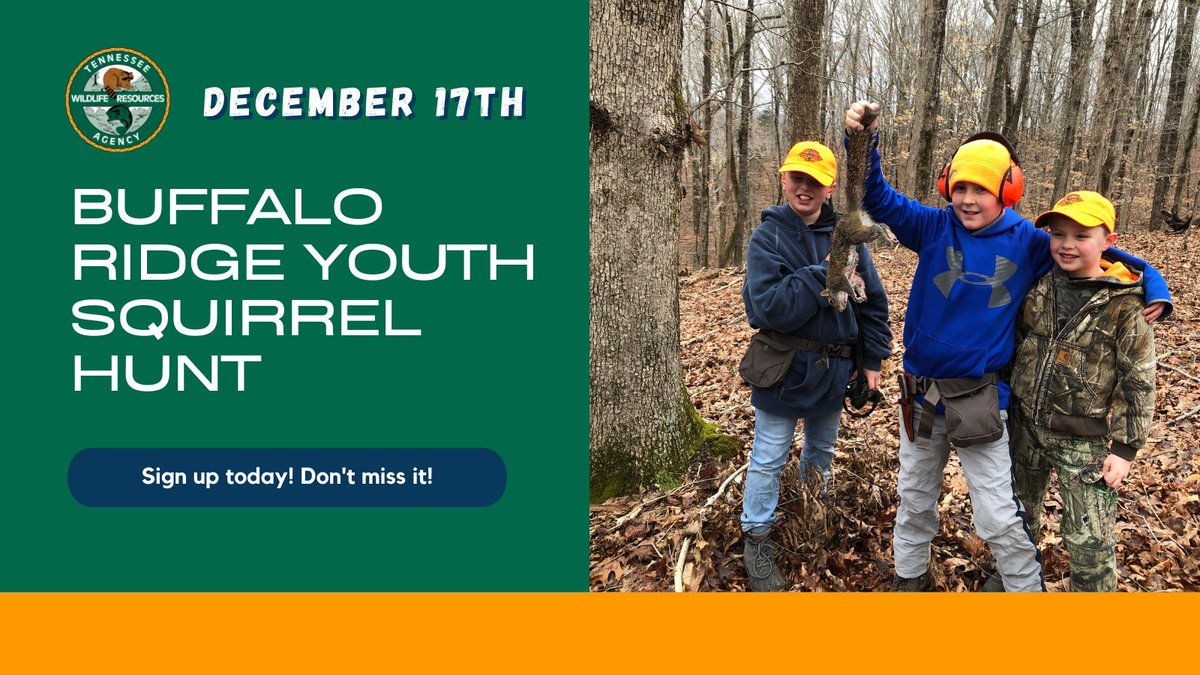 The Buffalo Ridge Youth Squirrel Hunt is right around the corner on December 17th. Sign up today!  Visit license.gooutdoorstennessee.com/Event/ViewEven…
#tnwildlife #gooutdoorstennessee