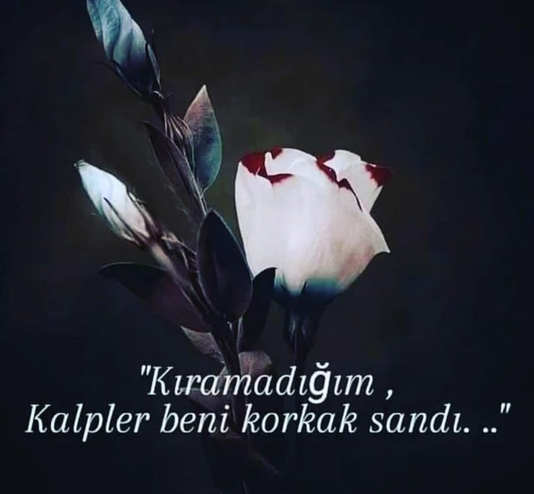 AhmetTo40865102's tweet photo. https://t.co/GXsFBCBPKF