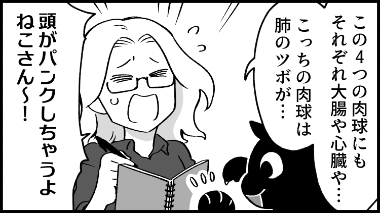 今日は #いい肉の日 ! 「いい肉球」もいかがでしょうか?
--
「ねこさんが聞いてあげる!」 清水めりぃ @zatta_shimizu #ヤメコミ
▼まとめ読みはこちら
https://t.co/YYbaZybWhI