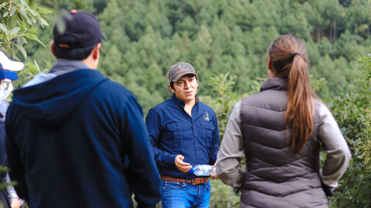 AlianzasAG's tweet photo. Como parte de las acciones, investigadores y estudiantes de @uvggt, junto a personal de @AGEXPORTGT, visitaron la empresa exportadora Frutesa, finca El Cielo y vivero de aguacate Hass de la empresa Frutitos, S.A. para conocer los procesos del mercado actual ✅️ https://t.co/3Rd7I2yM48