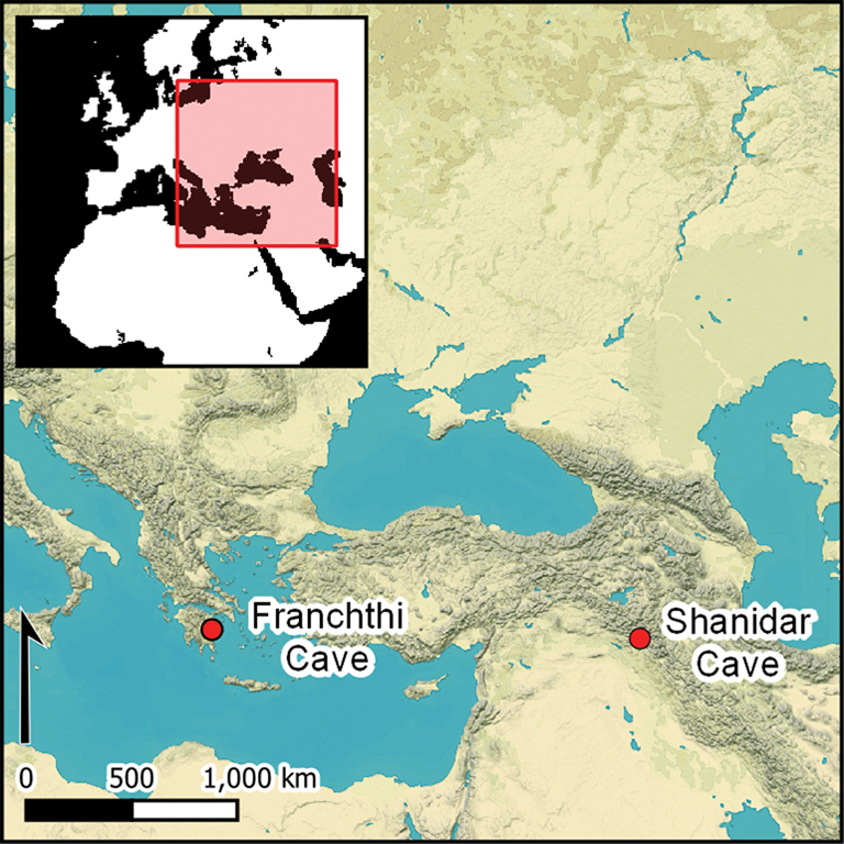 OyatsuMaster's tweet photo. 2022年11月24日
#考古学のおやつ 1/3
#Iraq #Shanidar #Greece #Φράγχθι #Franchthi #Palaeolithic
#イラク の #シャニダール洞窟 で出土したの4万年前と7万年前の炭化食物、 #ギリシャ の #フランクティ洞窟 で出土した12000年前の炭化食物を調査。→
[Cambridge Core (@CambridgeCore)] https://t.co/rH7UHTTKbG