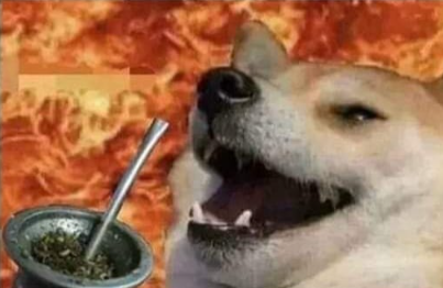 Cuando hacen 40 grados y tomas
mates igual