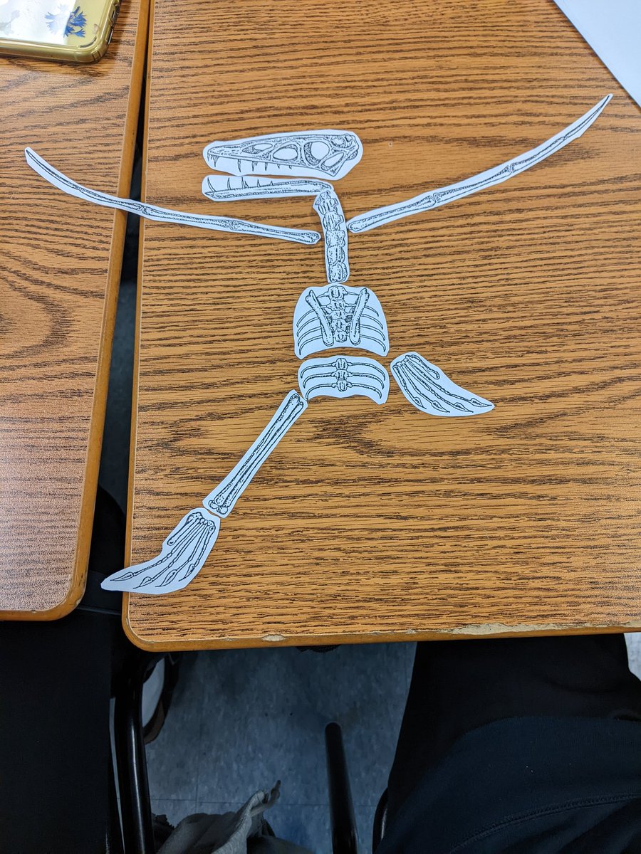 76_the's tweet photo. Examining fossils in SBI3U today :)  #evolution #NatureOfScience https://t.co/RugyCa7xjG