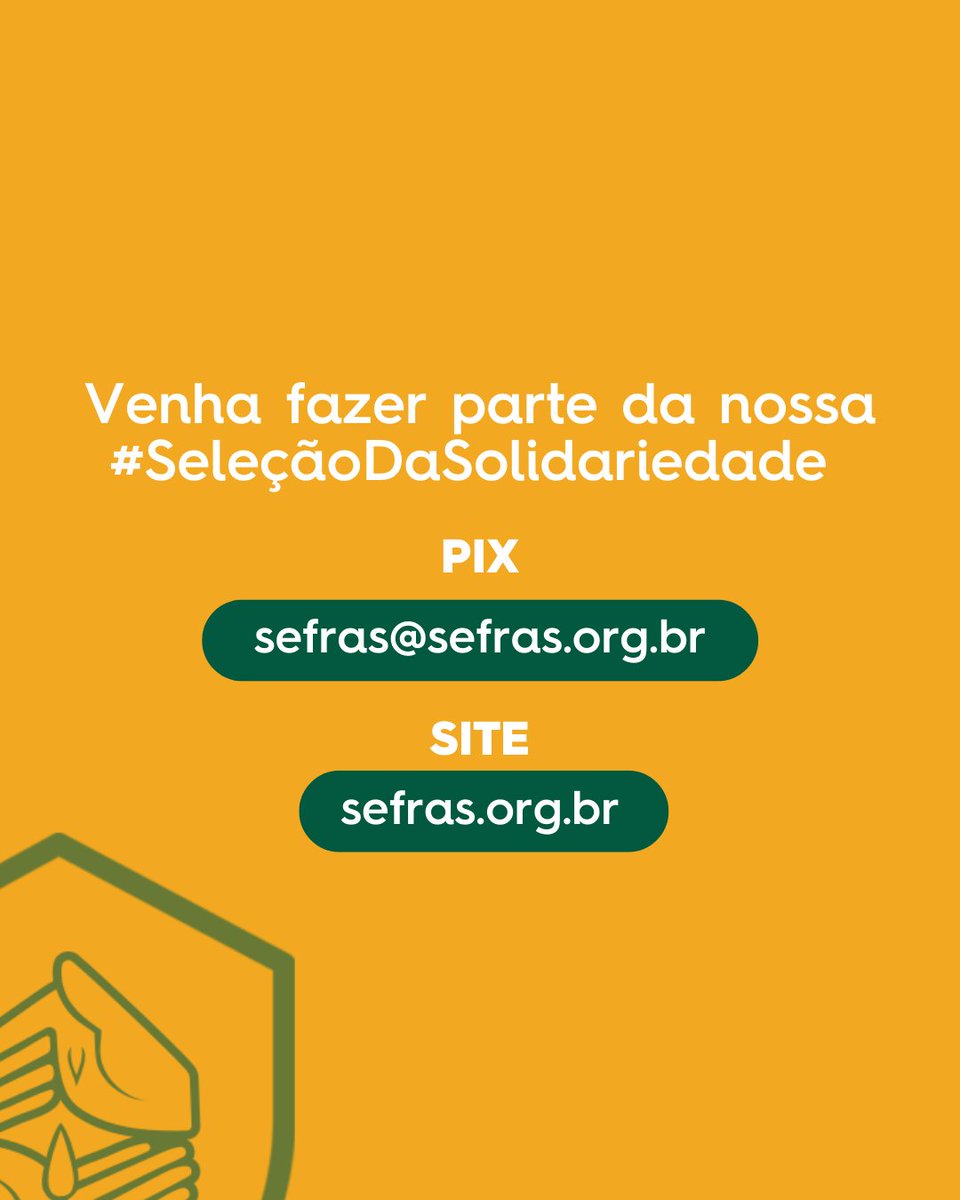 SEFRAS tweet media