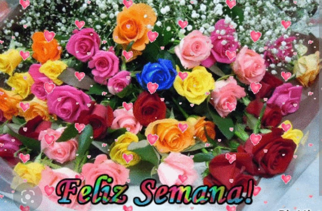#PaísMegadiversoMultidestino

Lo que importa sin duda es la actitud y tener una mentalidad positiva para hacer frente al comienzo de la semana
<a href="/MaraGon77452417/">María González</a> <a href="/Carlitos_G777/">𝒞𝒶𝓇𝓁ℴ𝓈 𝒢𝓊ℯ𝓇𝓇𝒶</a> <a href="/ahora_dulcita/">YoDulcita🍰🥰🌹</a> <a href="/TuiteroMaster/">𝕋𝕦𝕚𝕥𝕖𝕣𝕠 𝕄𝕒𝕤𝕥𝕖𝕣</a> <a href="/cristob41915018/">💋tyfany💋</a> <a href="/viejo57245860/">viejo</a> <a href="/MarCbza2/">María C 🩵</a> <a href="/TuiteroMaster/">𝕋𝕦𝕚𝕥𝕖𝕣𝕠 𝕄𝕒𝕤𝕥𝕖𝕣</a> <a href="/luisa0211266164/">🌺🌺luisa02🌺🌺</a>