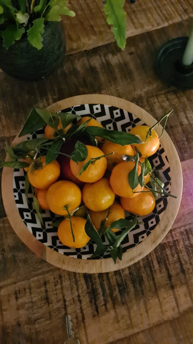 A beautiful bowl of tangerines! <a href="/MyPeakChallenge/">My Peak Challenge</a> <a href="/FoodiePeakers/">FoodiePeakers</a> <a href="/DutchPeakers/">Dutch Peakers™️</a> <a href="/SamHeughan/">Sam Heughan</a> <a href="/CoachValbo/">John Valbonesi</a>