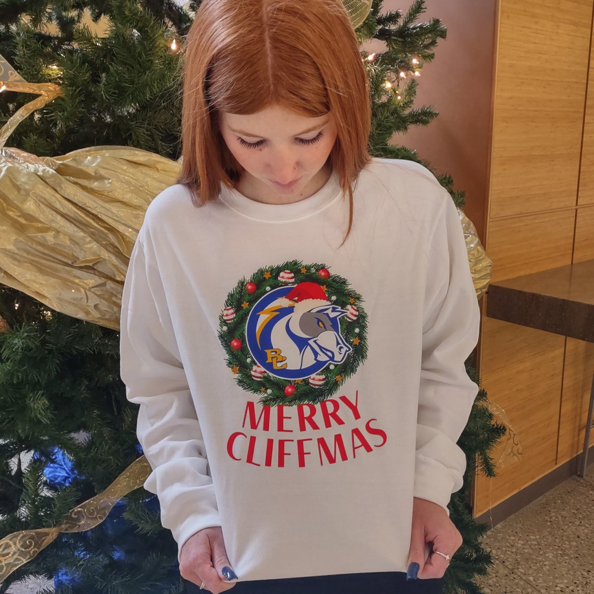 briar_cliff's tweet photo. We wish you a "Merry Cliffmas!" 

Stop by the Roth Cliff Shop to get a limited edition BCU Christmas Sweater while supplies last. These sweaters are the perfect gift this holiday season. https://t.co/VIBLCI4BQc