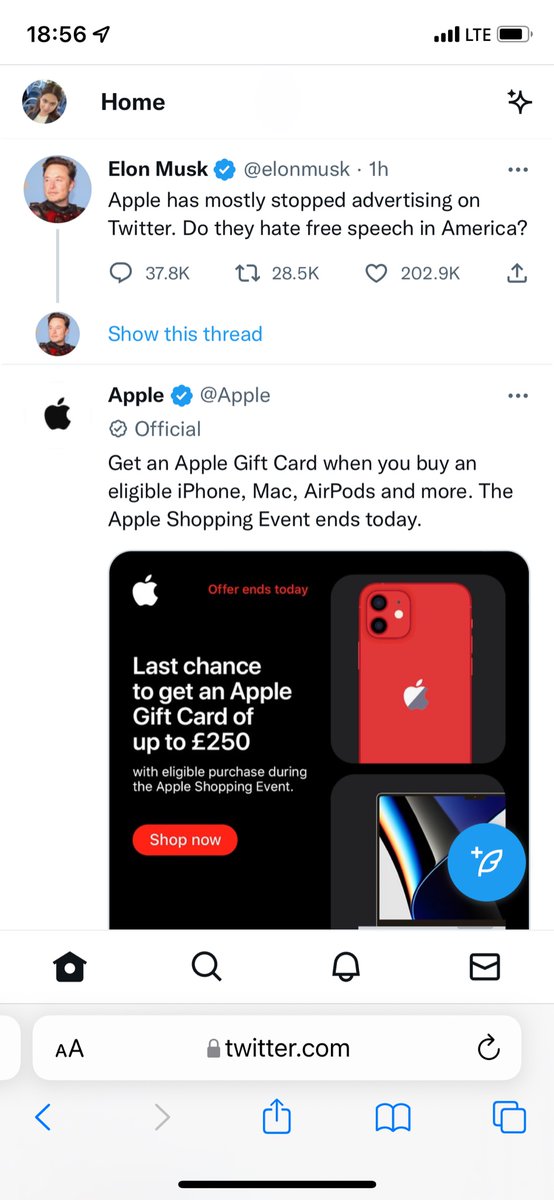 Saida Azimi tweet media