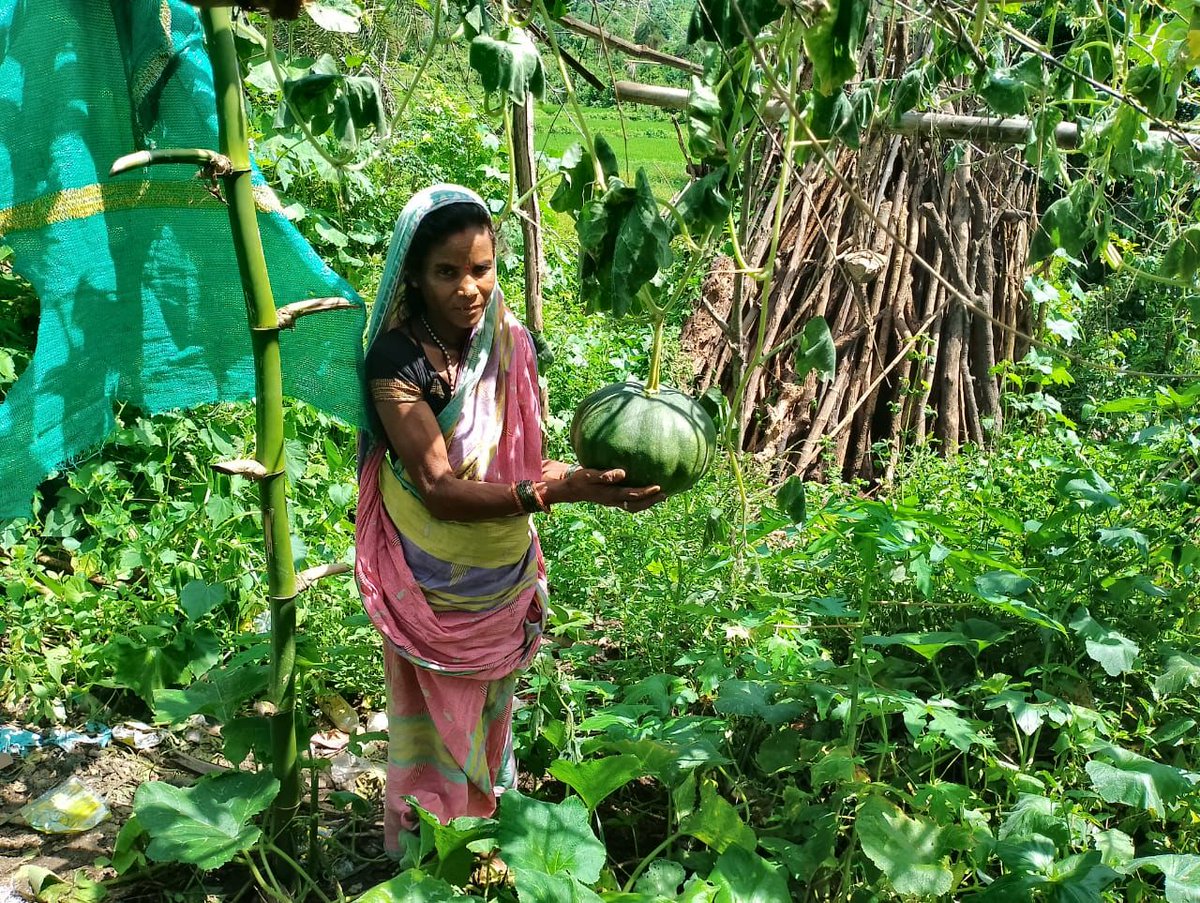 <a href="/asiainit/">Asia Initiatives</a> is proud to help transform the lives of women farmers like Nibedita Sabar, who helps support her family of seven. Thru #SoCCs for their Kitchen Gardens, our partners VIEWS support women like Nibedita by teaching them how to grow produce, and connect them to the market.