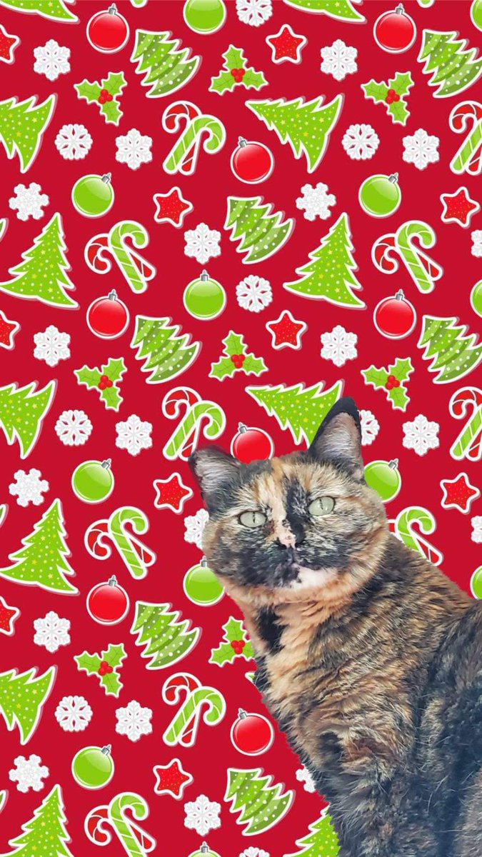 kim_chicat's tweet photo. Kimpapers (Kimchi wallpapers) for u (courtesy of @natashacaudilll ) https://t.co/00rXZbFBPm