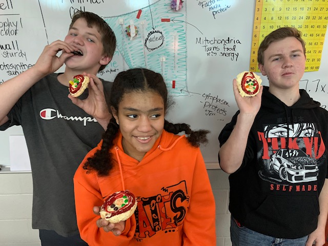 PlatteCountyR3's tweet photo. Students in Mrs. Lister’s science class have been studying the structure and processes of plant and animal cells. Before break, the class celebrated their learning by building edible plant cells. It's a good day when science also tastes good! #PCR3Proud https://t.co/dwxbPFgahY