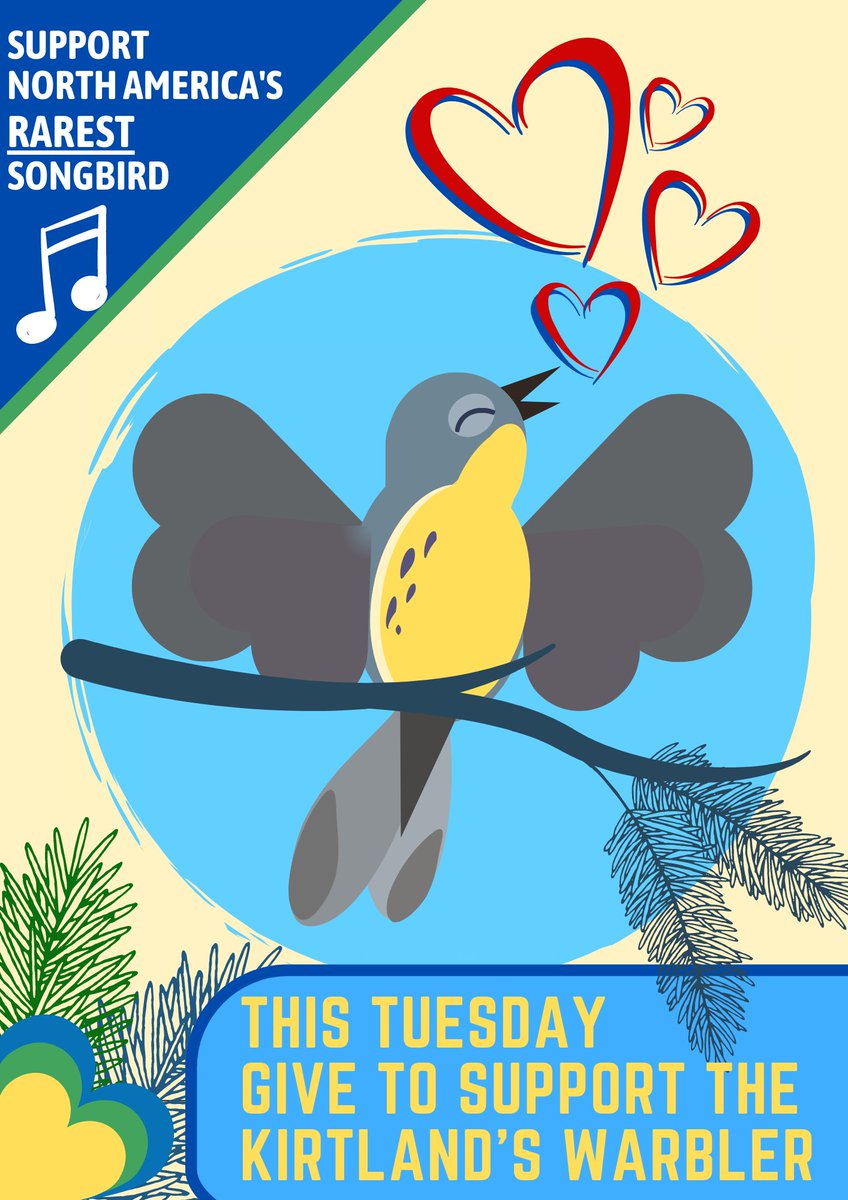 KWAlliance1's tweet photo. Tomorrow is Giving Tuesday. Please help support conservation of the Kirtland's Warbler - the rarest songbird in North America - by making a donation to the Kirtland's Warbler Alliance at https://t.co/GWbLAMpHtt. https://t.co/gbCieu6n2K