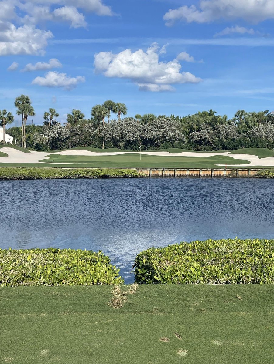 Caddie Network tweet media
