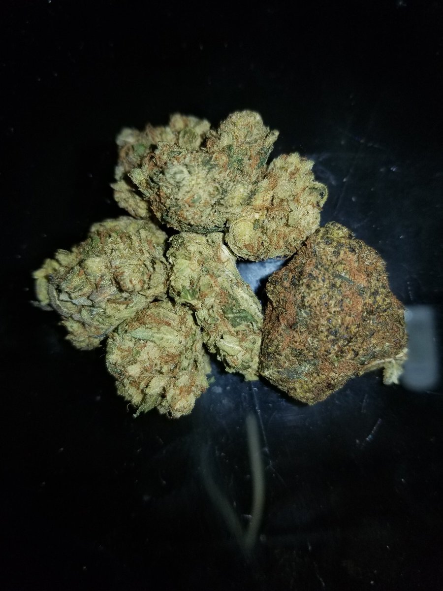 RBGWeed705's tweet photo. God Pink kush and Tom Ford kush https://t.co/NmmqVo8ZsA