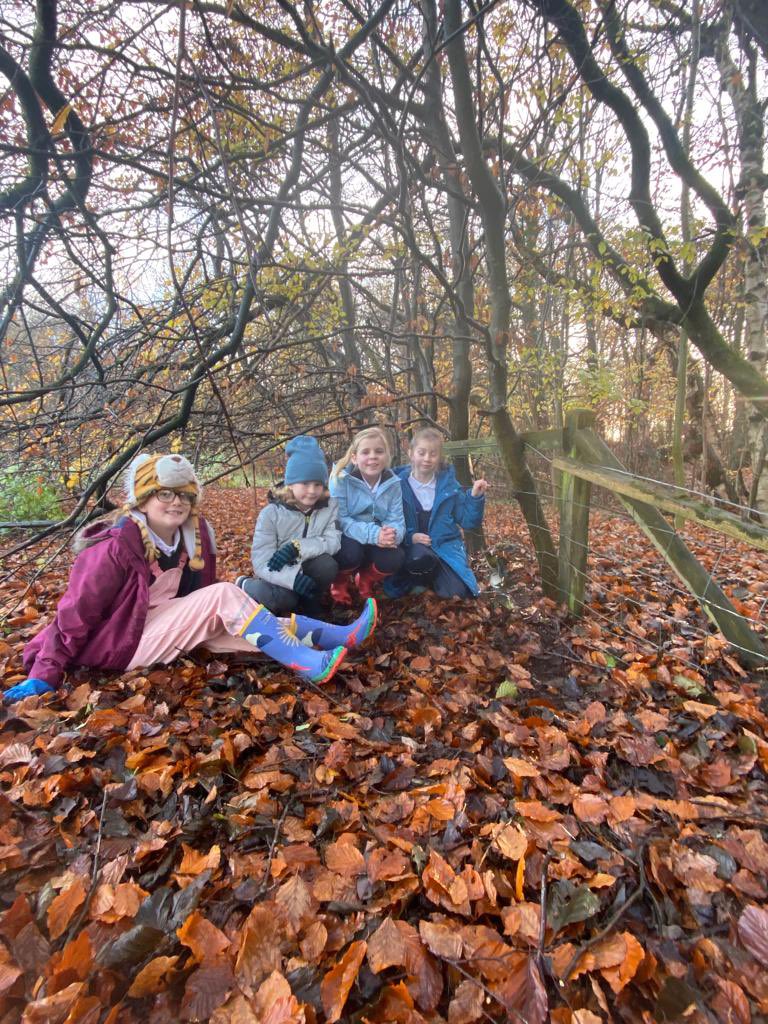 BraidbarPS's tweet photo. Today, P4&amp;5 took their completed bird shelters back to Huntley Park. They had a great time exploring the woods and finding a safe space for their houses to take shelter. 🐦 @HuntlyFriends @KSBScotland https://t.co/EvLqTMZAgO