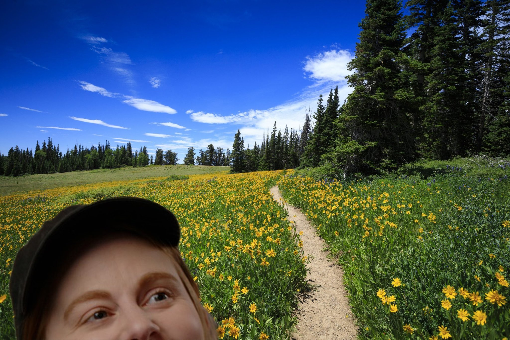 Simone Giertz on Twitter "cleoabram Helion_Energy https//t.co