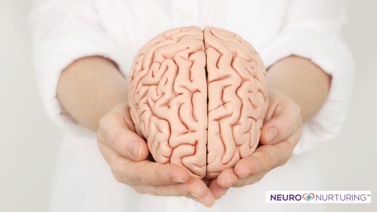 braininsights's tweet photo. What is Valuable?  https://t.co/TrY80SKQ3I 
What is your opinion about the way #babies and #children are valued?
It is my wholehearted belief that everyone is valuable beginning at birth. And that value requires #nurturing and recognition. #NurturingNovember https://t.co/C7WBDpfRbW