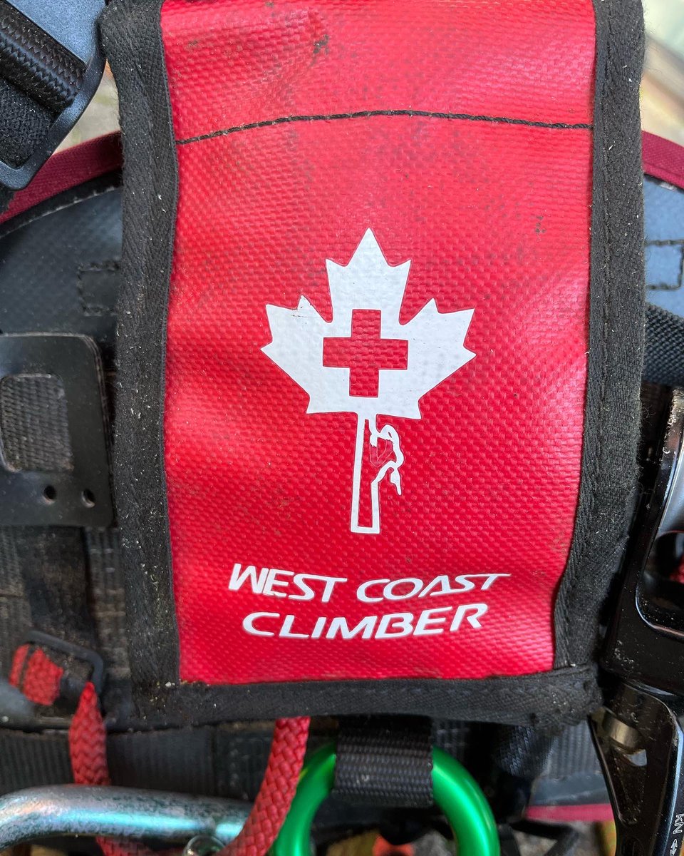 J L Safronick tweet media