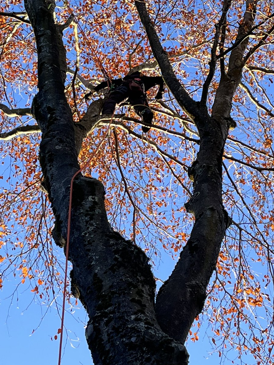 J L Safronick tweet media