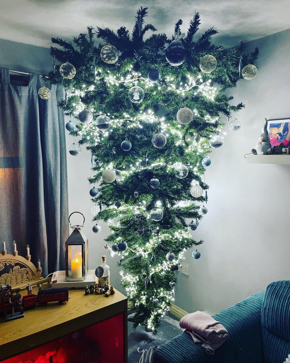helene_becca's tweet photo. @RCNNRN #upsidedowntree https://t.co/2SuBLJwQC2
