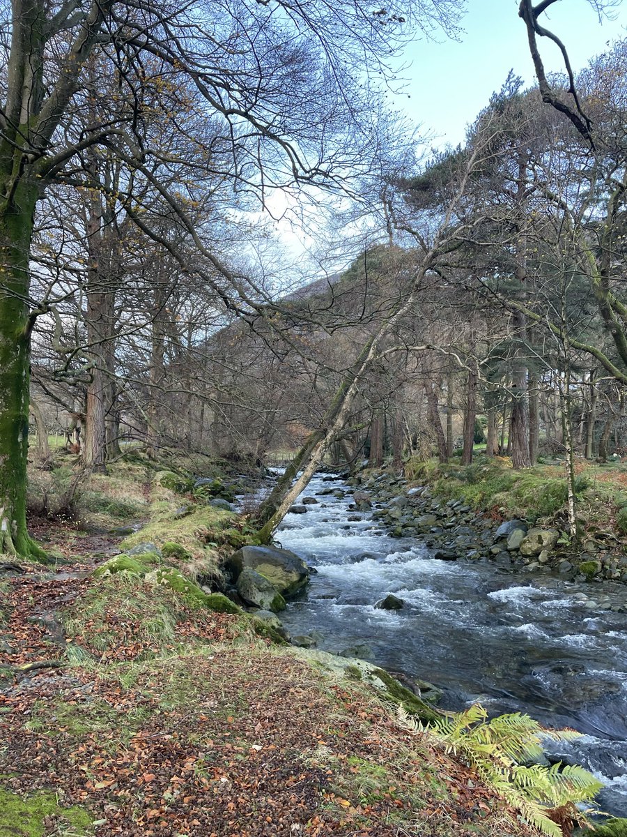 Katie Smith tweet media