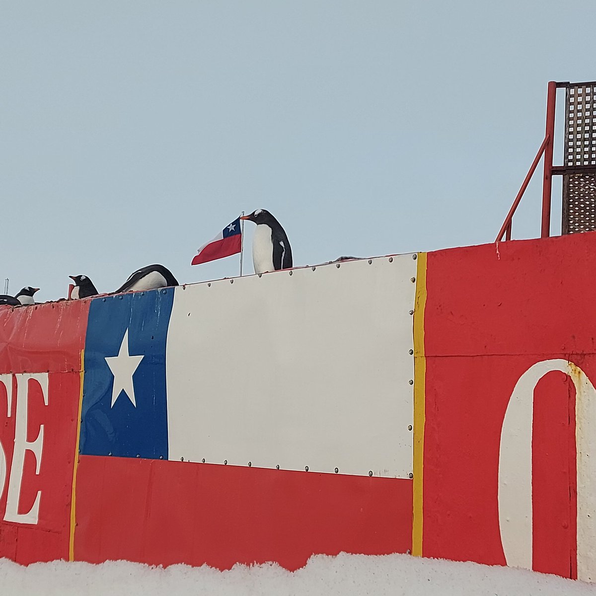 MOX_79's tweet photo. El Prot. de Madrid, define Zona Antártica Especialmente Protegida a un  área del cont. ant.  a fin de proteger valores científicos, estéticos, históricos sobresalientes.  La RCTA [2012] reconoce  ZAEP al Sitio N°37 “ en la #baseohiggins @ejercito_chile @U_Antartica @inach_gob https://t.co/Z8WxxdSF5R