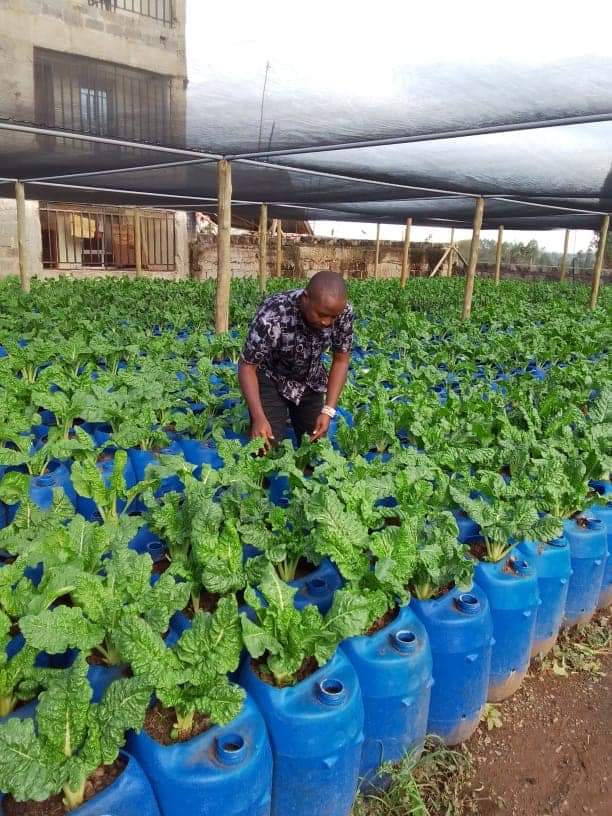 Farm With Fred tweet media