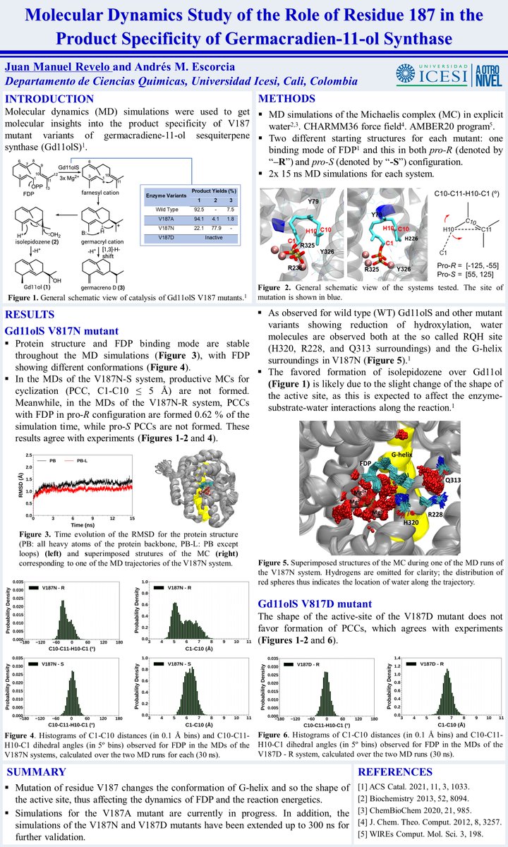 JM_Revelo's tweet photo. Hello @LatinXChem, I'm Juan Manuel Revelo Galvez, an undergrad student at @icesi, and this is my work ‘Molecular Dynamics Study of the Role of Residue 187 in the Product Specificity of Germacradien-11-ol Synthase, with @AndresMEscorcia. #LatinXChem22 #LXChemBio #BIO063 https://t.co/KD7cqUZlXP