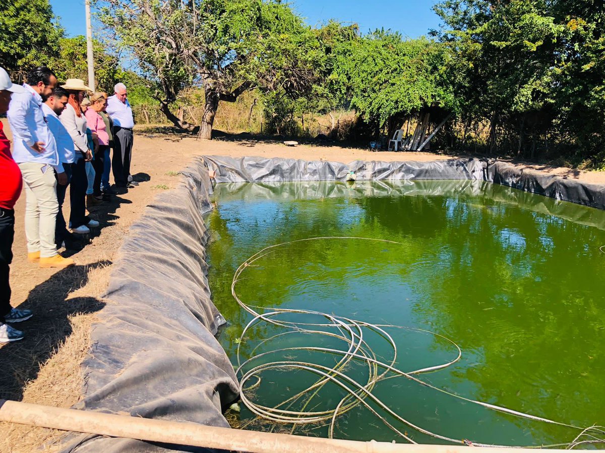 Invitación por parte de la Secretaria de Pesca y Acuacultura del estado a la Firma del Convenio de Apoyo Financiero para realizar reposición de instalaciones del Centro Reproductor de Tilapia de la Presa Picachos, municipio de Mazatlán, estado de Sinaloa.
